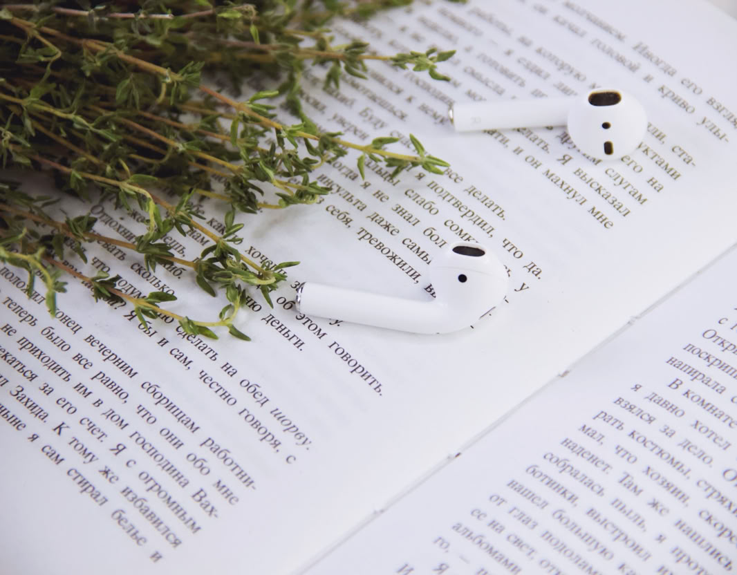 From above of opened book with TWS earbuds with bunch of thin twigs